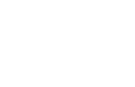 Icon of the US Flag